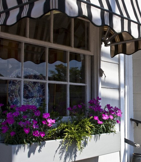 Shopfront Windows 1 Shopfront windows